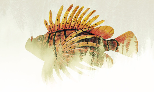雙重曝光海魚