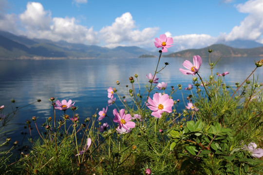 泸沽湖