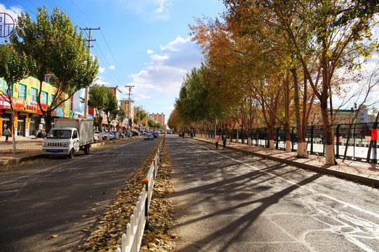 城市 街道 林荫道 马路