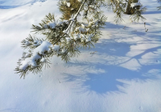 冬季雪韵