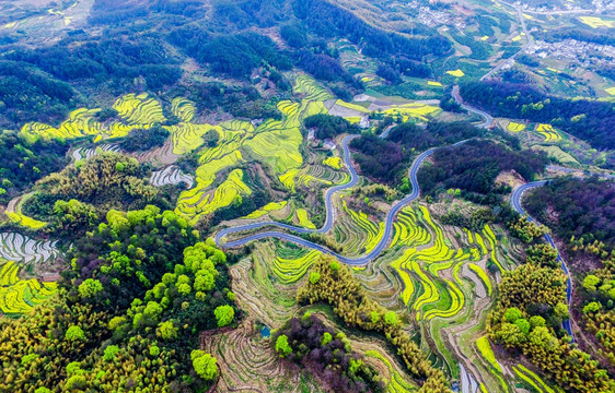 航拍徽州梯田风光