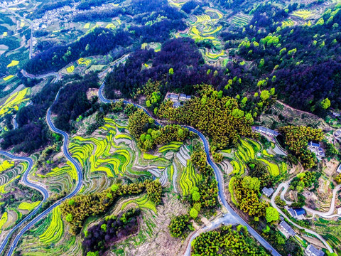 航拍徽州梯田风光