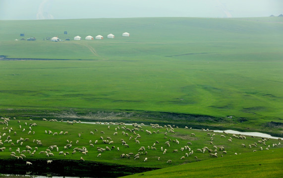 草原河流羊群蒙古包