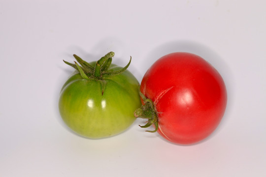 西红柿 绿色蔬菜