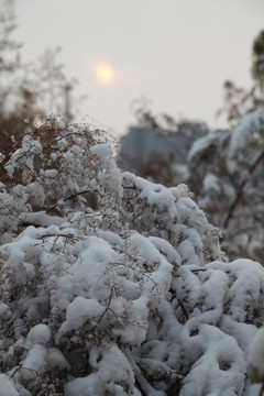 冰雪 冰天雪地 冬天 白雪皑皑