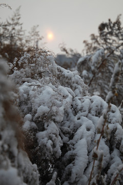 冰雪 冰天雪地 冬天 白雪皑皑