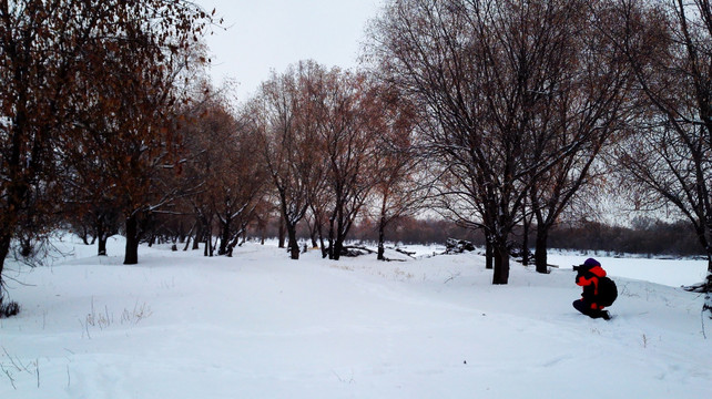 冰雪森林