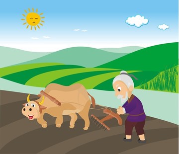 耕牛 犁地 水稻 農(nóng)夫 牛犁地