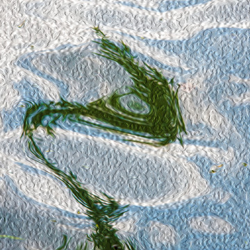 油畫未分層