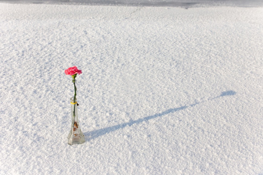 吉林雾凇鲜花