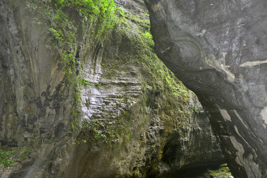 高山峡谷 山谷潮湿岩壁风光特写