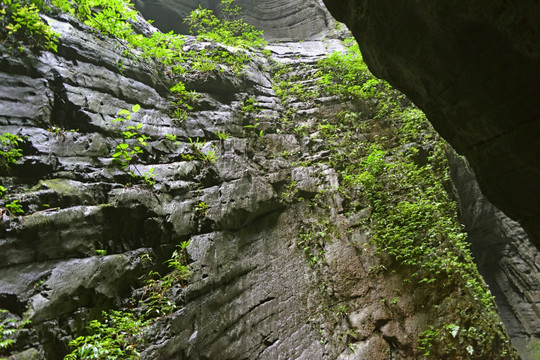 高山峡谷 山谷潮湿岩壁风光特写