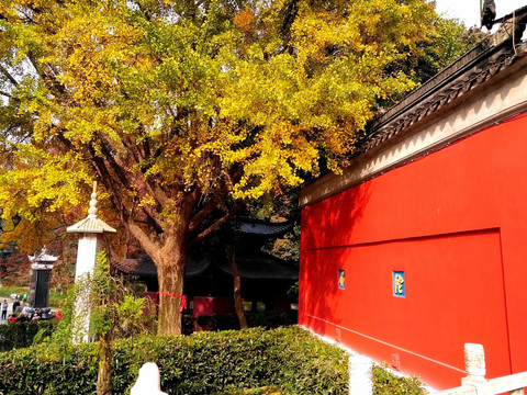 栖霞寺 栖霞山之秋