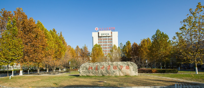 北京大学医学部