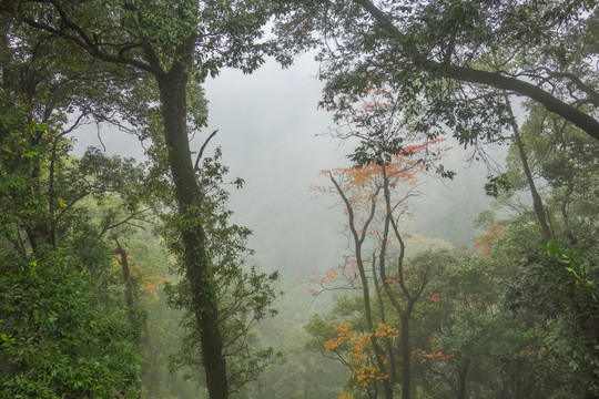 青城山