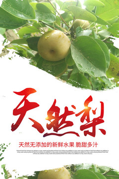 中国风清新水果天热梨海报