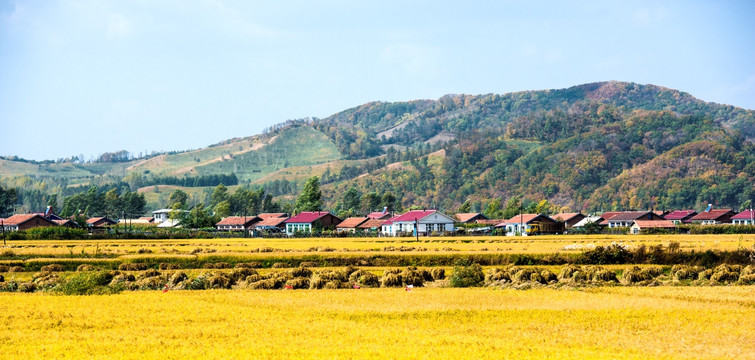 山村风光