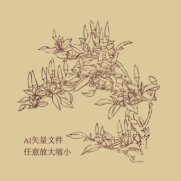 朝天椒 辣椒 包裝設計元素