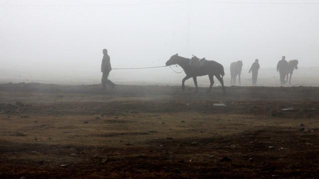 晨雾中牵马的农民