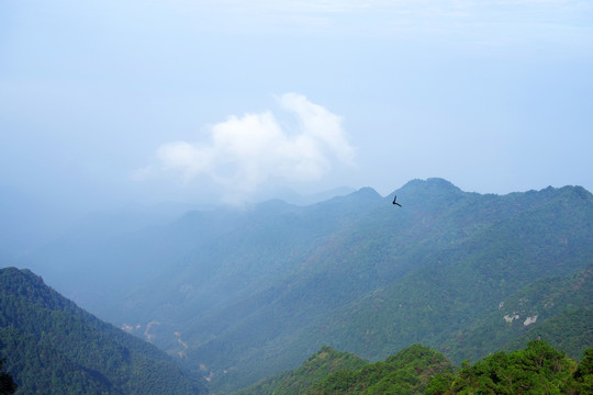 青山