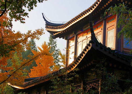 北宮國家森林公園