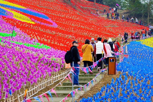 葛仙山风车节