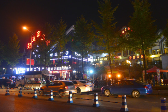 小镇夜色 武隆仙女山镇街景