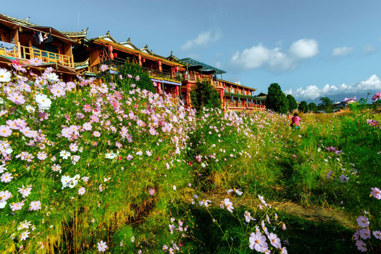 花海中的建筑 客栈