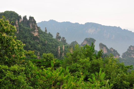 湖南省张家界风景山峰旅游景点