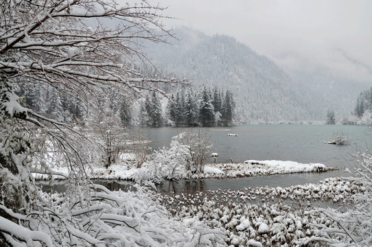 冰雪 雪景 九寨沟