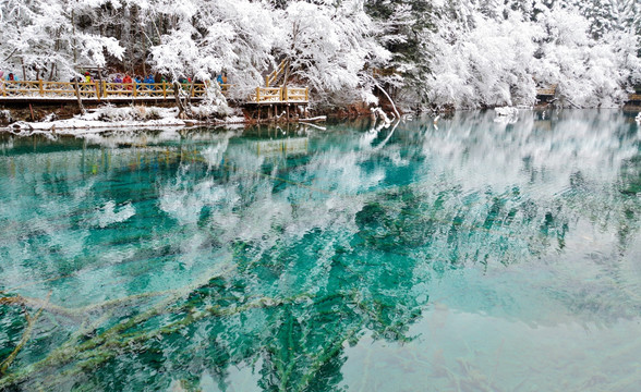 冰雪 雪景 九寨沟