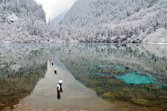 冰雪 雪景 九寨沟