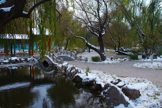 大连劳动公园荷花池雪景5