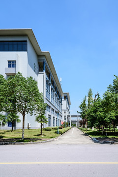 大学建筑