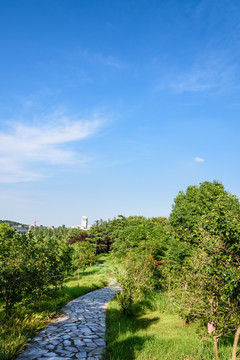 小山园林景观