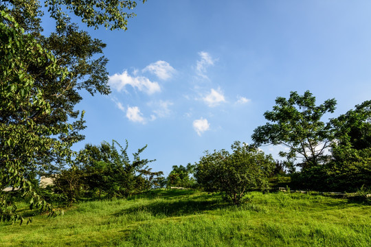 小山园林景观