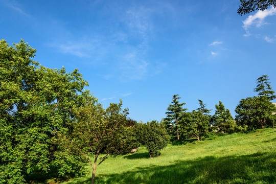 小山园林景观