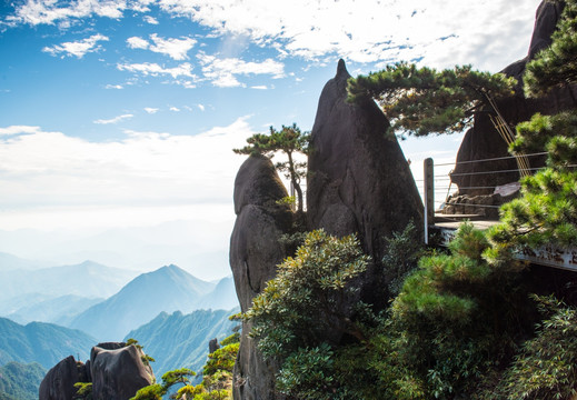 三清山 奇石 松树