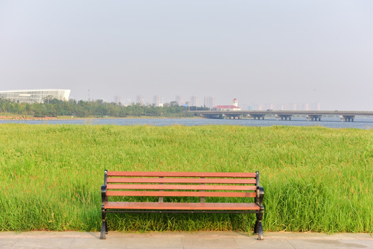 长椅 园林绿化 背景海报