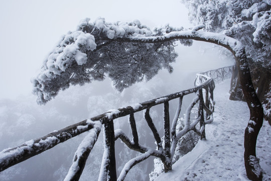 冬日雪景