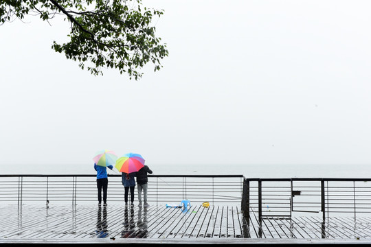 雨中垂钓