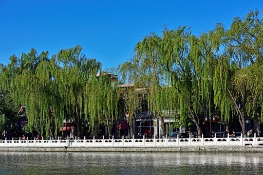 北京 北京风景 什刹海公园