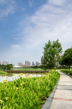 莲花湖公园景观