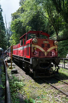 台湾阿里山小火车