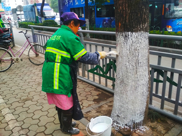 城市护林防蚁