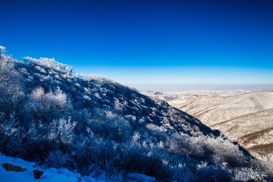 冬日雪景