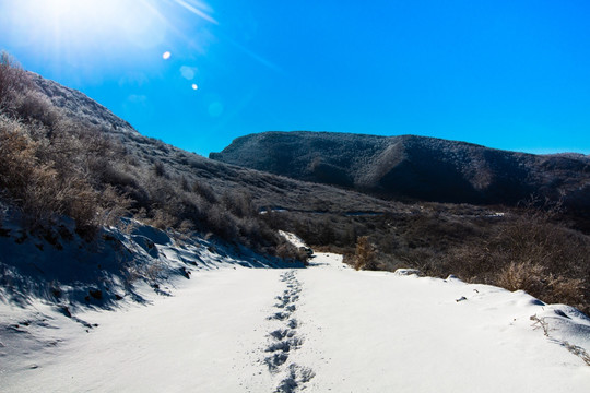 冬日雪景