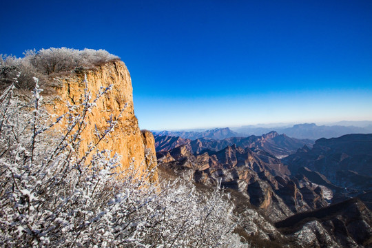 冬日雪景