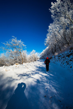 冬日雪景