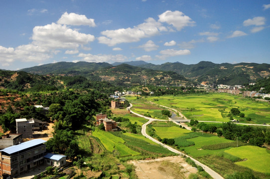 乡村风景